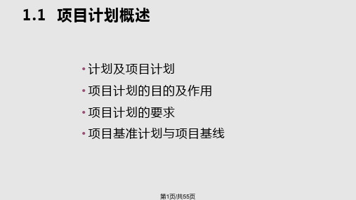 项目计划与控制PPT课件