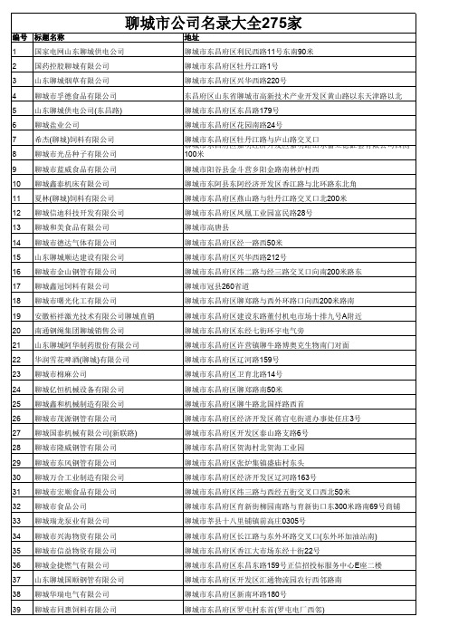 聊城市公司名录大全275家