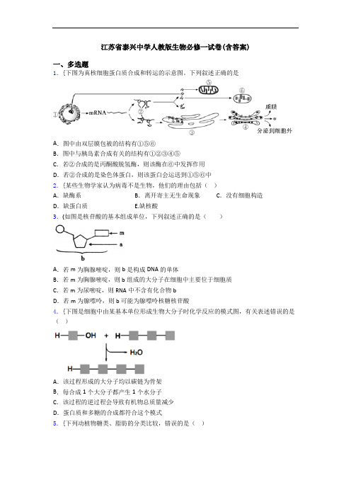 江苏省泰兴中学人教版生物必修一试卷(含答案)