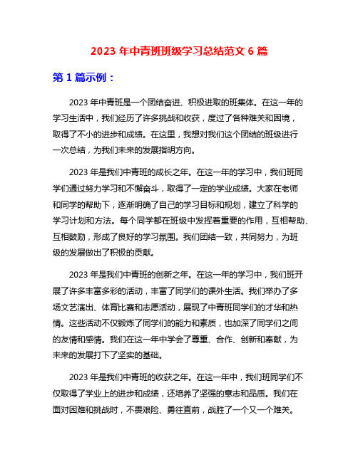 2023年中青班班级学习总结范文6篇