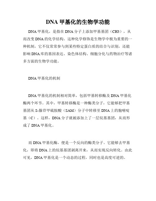 DNA甲基化的生物学功能