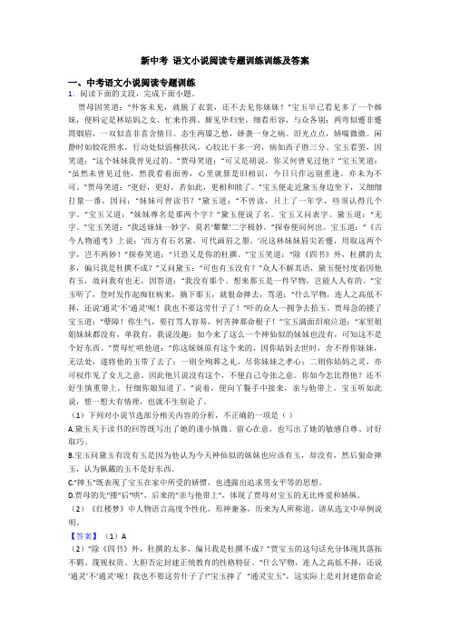 新中考 语文小说阅读专题训练训练及答案