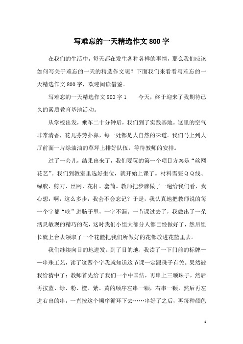 写难忘的一天精选作文800字