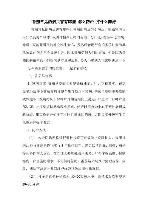 番茄常见的病虫害有哪些 怎么防治 打什么药好