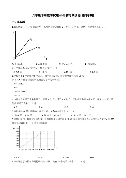 六年级下册数学试题-小升初专项训练 数学问题 人教版(含答案)