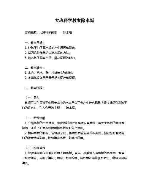 大班科学教案除水垢