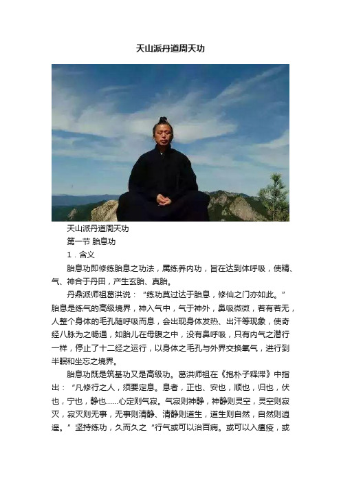 天山派丹道周天功