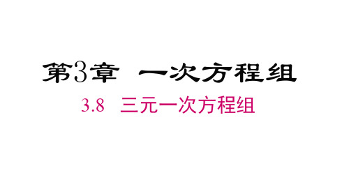 3.8  三元一次方程组 课件(共23张PPT) 湘教版七年级数学上册