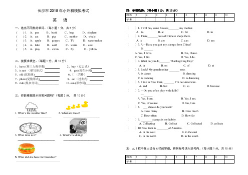 长沙市 小升初模拟考试英语试卷