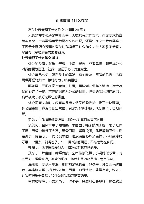 让我懂得了什么作文