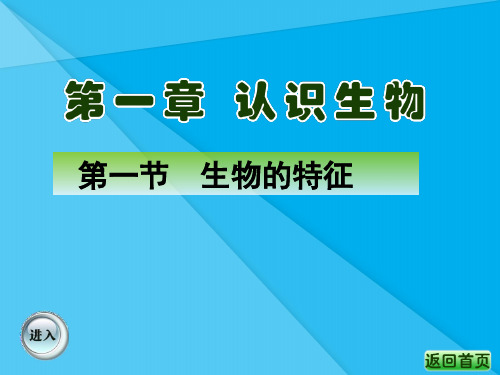 生物的特征PPT课件13 人教版优秀课件