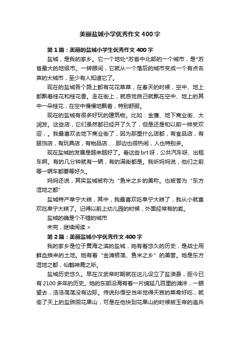 美丽盐城小学优秀作文400字