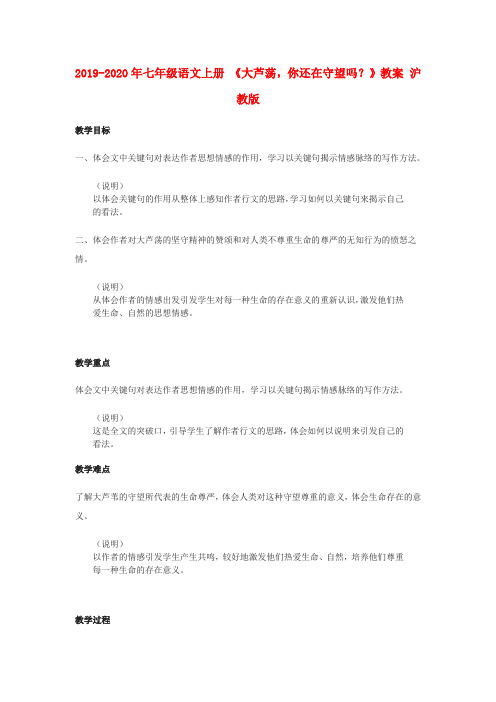 2019-2020年七年级语文上册 《大芦荡,你还在守望吗?》教案 沪教版