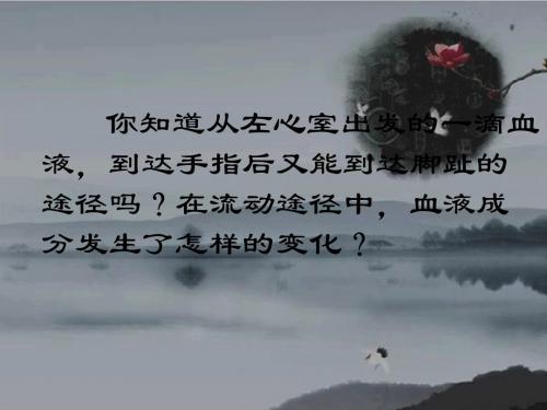 北师大初中生物七下《9第2节 血液循环》PPT课件 (1)