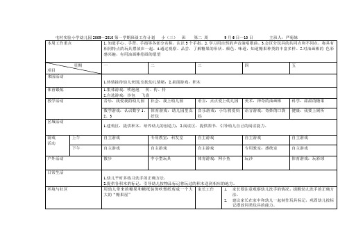 小班工作正表