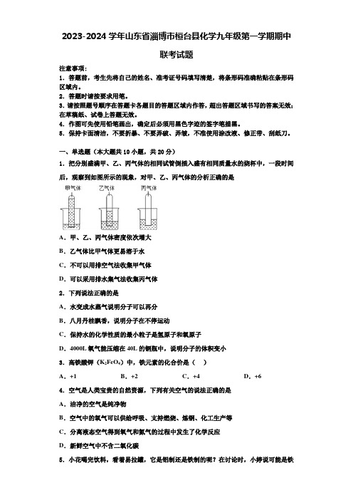 2023-2024学年山东省淄博市桓台县化学九年级第一学期期中联考试题含解析