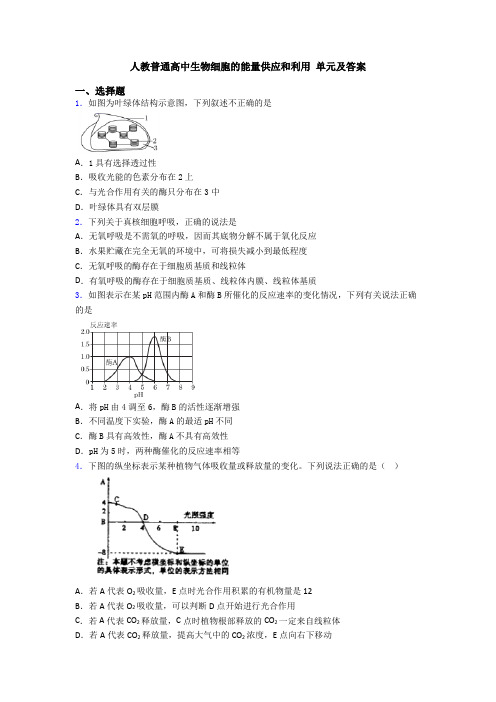 人教普通高中生物细胞的能量供应和利用 单元及答案