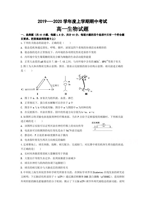 黑龙江省齐齐哈尔市八中高二上学期期中考试生物试卷含答案