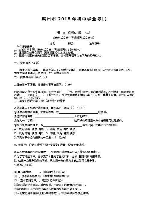 最新2018—2019年山东省滨州市中考语文模拟检测试题及答案解析(二)