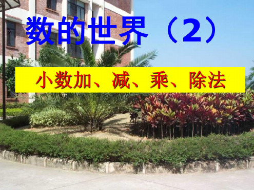 五年级数学小数乘除法2