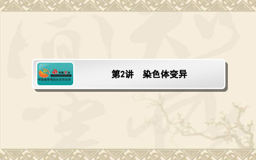 高考生物一轮复习 5.2 染色体变异课件 新人教版必修2