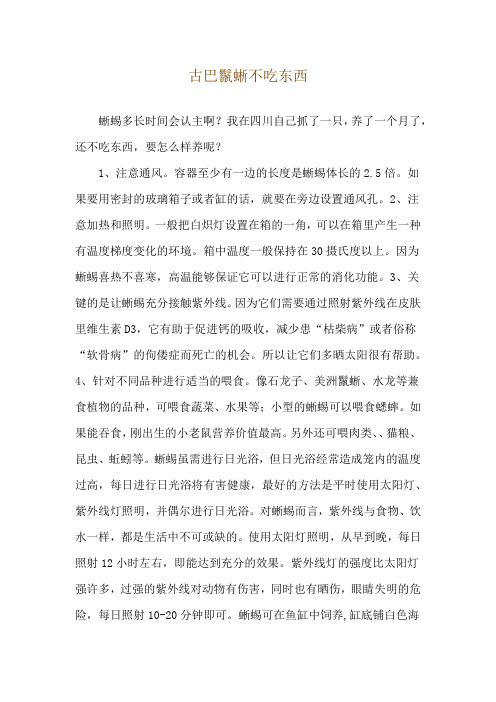 古巴鬣蜥不吃东西