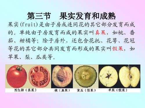 植物生理学第二课时（7）