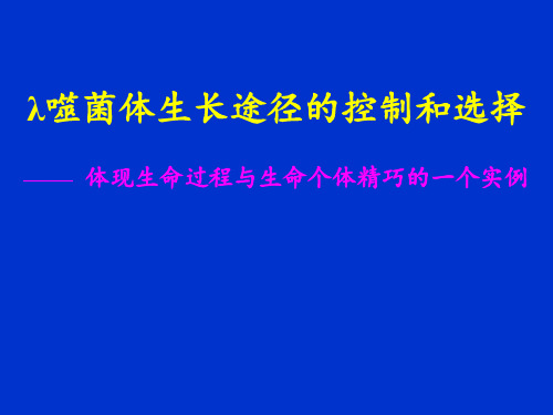 λ噬菌体生长途径的控制和选择