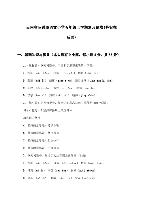 云南省昭通市语文小学五年级上学期试卷及解答参考