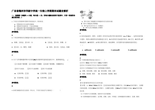 广东省梅州市华新中学高一生物上学期期末试题含解析