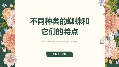 了解蜘蛛：了解不同种类的蜘蛛和它们的特点