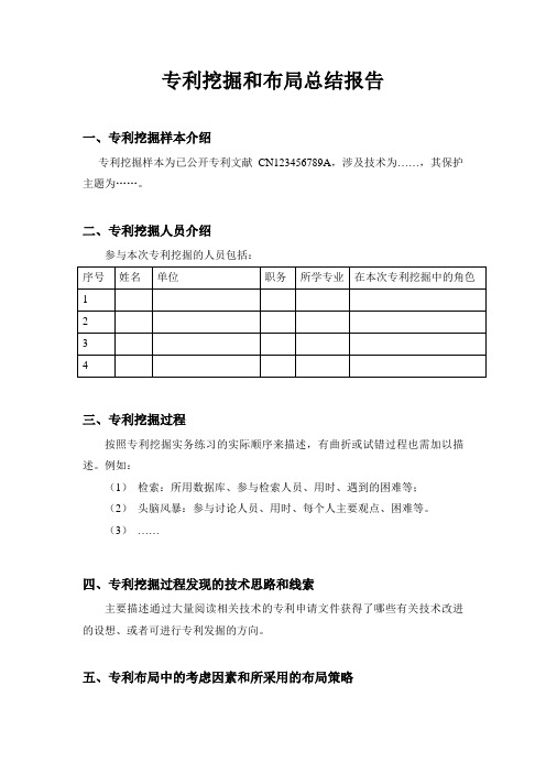 专利挖掘和布局总结报告