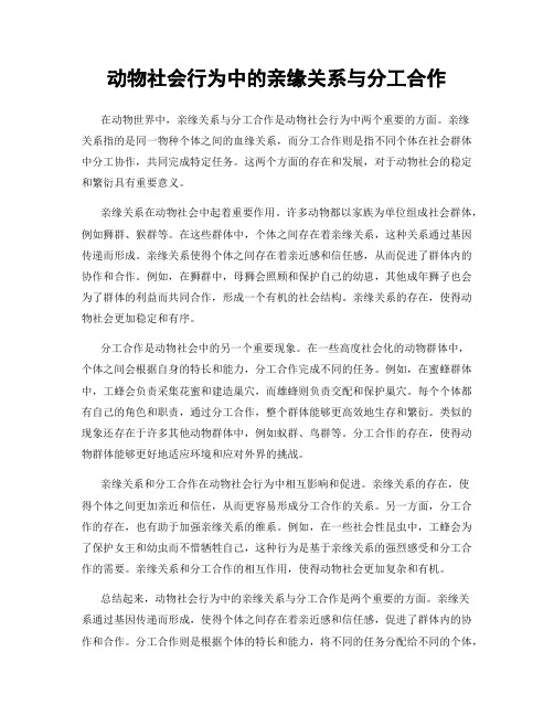 动物社会行为中的亲缘关系与分工合作