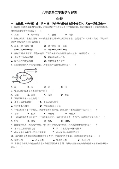 甘肃省武威市凉州区洪祥镇九年制学校2023-2024学年八年级下学期期末学习评价生物试卷(含答案)