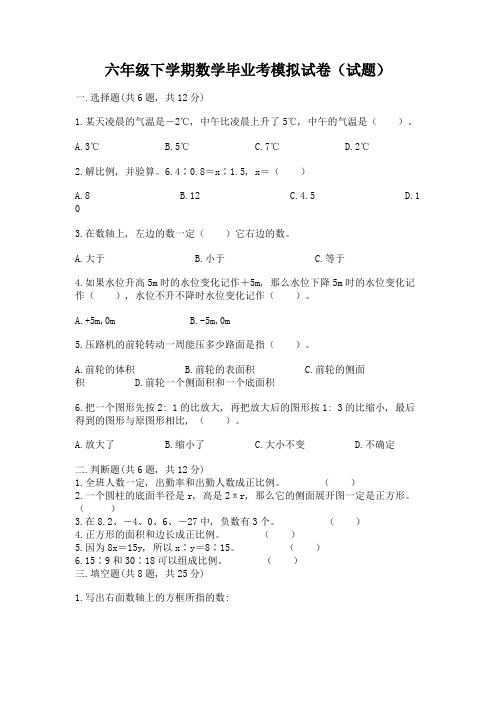 六年级下学期数学毕业考模拟试卷(试题)精品(全国通用)