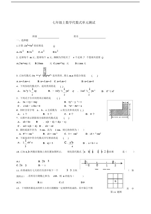 苏教版七年级上数学代数式单元测试卷含答案.docx