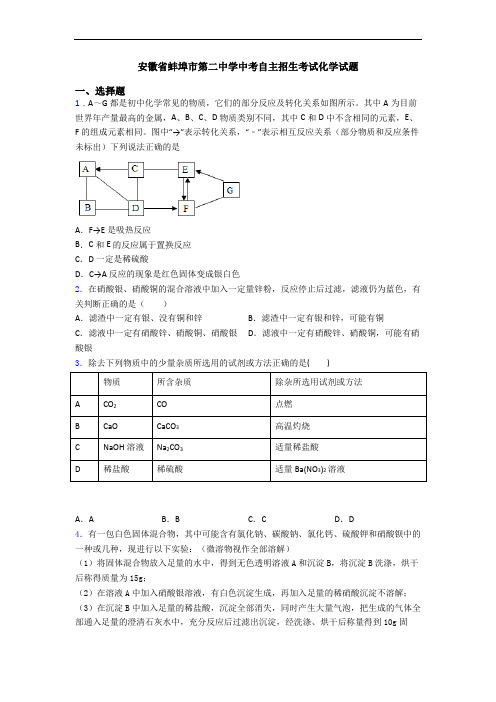 安徽省蚌埠市第二中学中考自主招生考试化学试题