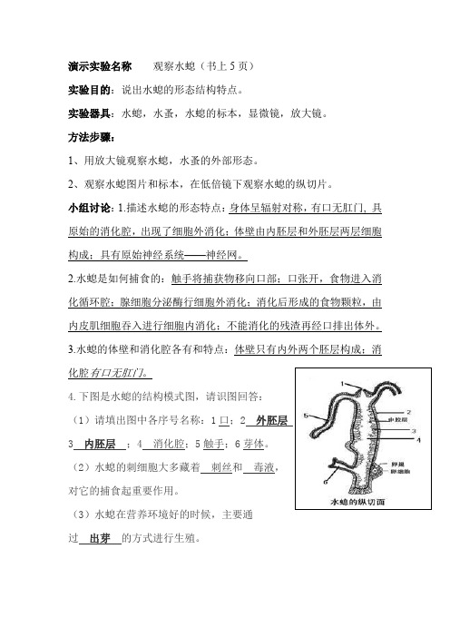 演示实验名称    观察水螅