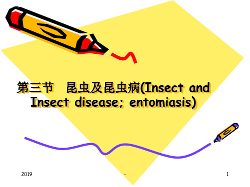 昆虫及昆虫病ppt课件