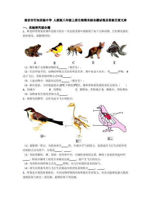 南京市行知实验中学 人教版八年级上册生物期末综合题试卷及答案百度文库