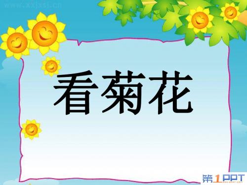 《看菊花》PPT课件(上课用)