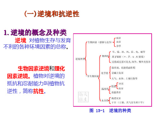 十二、植物的逆境生理