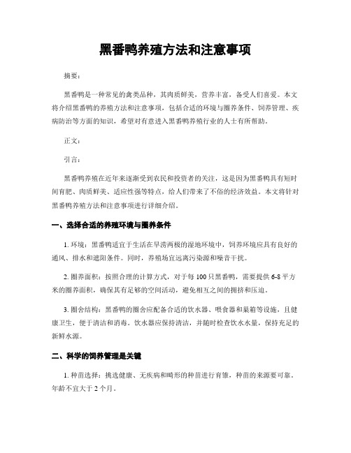 黑番鸭养殖方法和注意事项