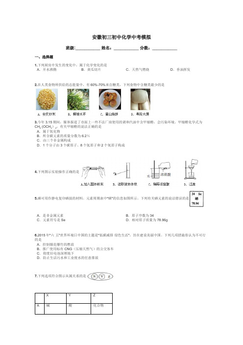 安徽初三初中化学中考模拟带答案解析
