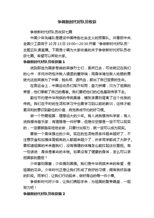 争做新时代好队员收获