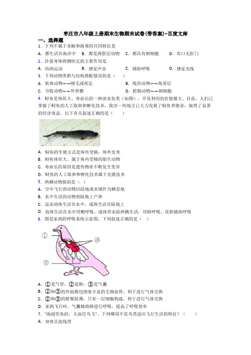 枣庄市八年级上册期末生物期末试卷(带答案)-百度文库