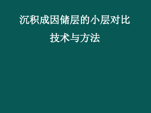 沉积成因储层的小层对比技术与方法