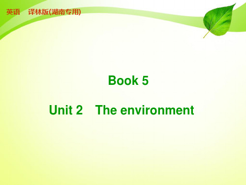 BOOK 5 UNIT 2PPT课件