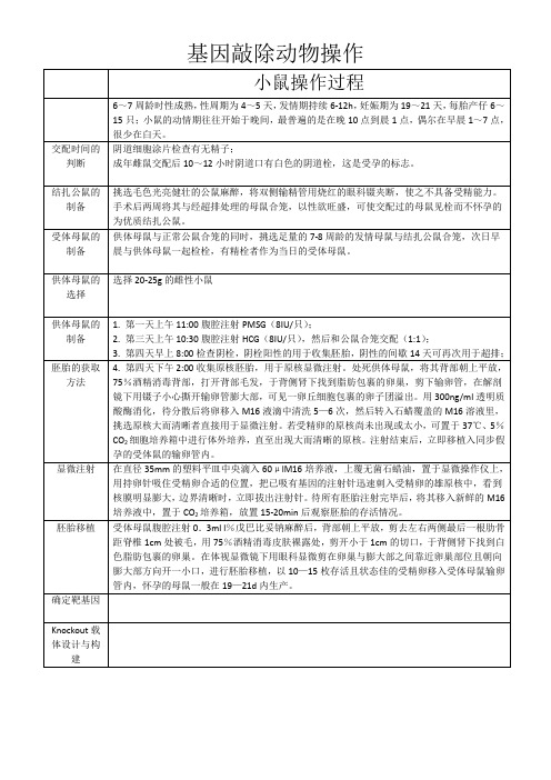 基因敲除动物操作