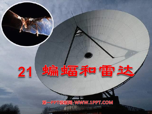 《蝙蝠和雷达》课件3-四年级下册语文PPT课件